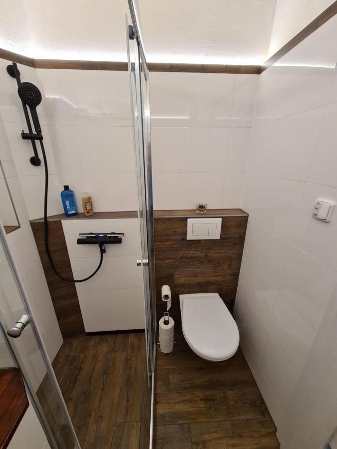 Svetly Prostorny Byt V Karline Apartment Prague Luaran gambar