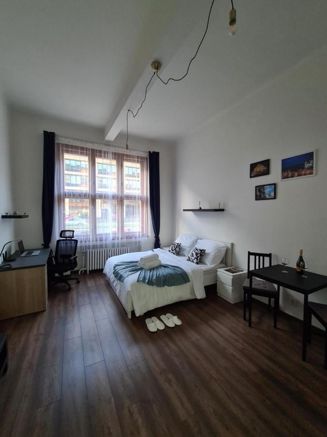 Svetly Prostorny Byt V Karline Apartment Prague Luaran gambar