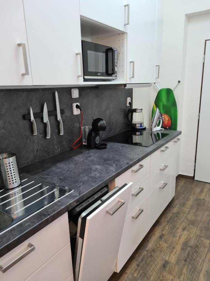 Svetly Prostorny Byt V Karline Apartment Prague Luaran gambar