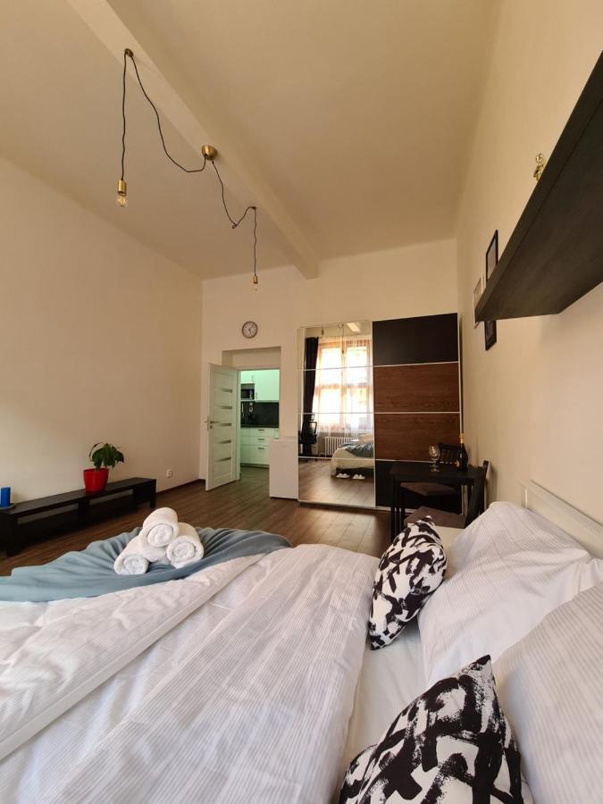 Svetly Prostorny Byt V Karline Apartment Prague Luaran gambar