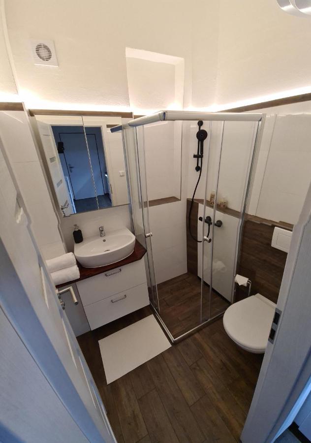 Svetly Prostorny Byt V Karline Apartment Prague Luaran gambar