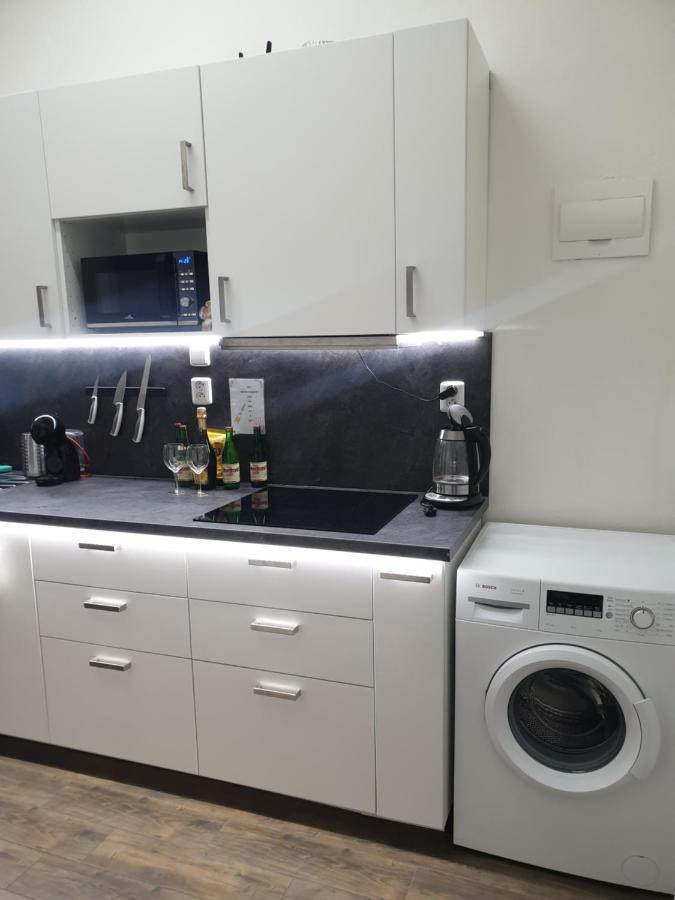 Svetly Prostorny Byt V Karline Apartment Prague Luaran gambar